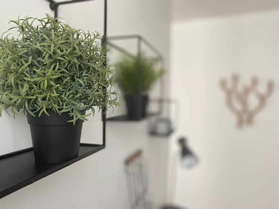 Les Beaux Arts, Appartement Au Coeur De 루앙 외부 사진